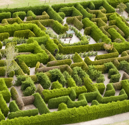 Aerial View of the maze's hedges